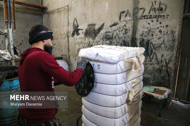 برداشت پنبه از مزارع خراسان شمالی