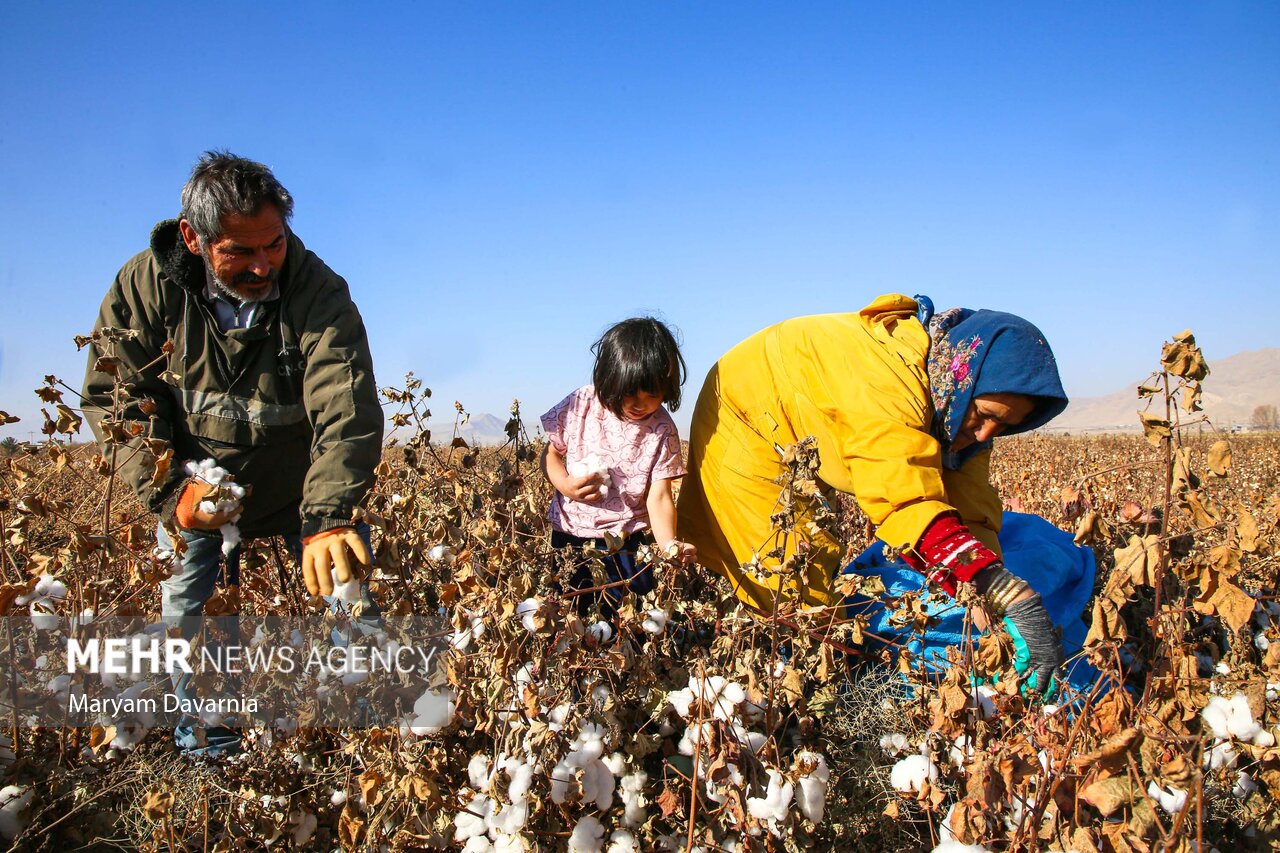خراسان،شمالي،استان