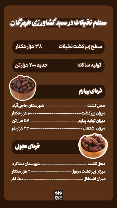 اینفوگرافیک؛ سهم نخیلات در سبد کشاورزی هرمزگان