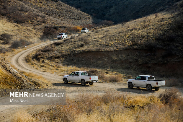 دیزمار پس از آتش