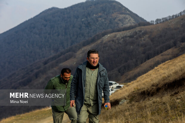 دیزمار پس از آتش