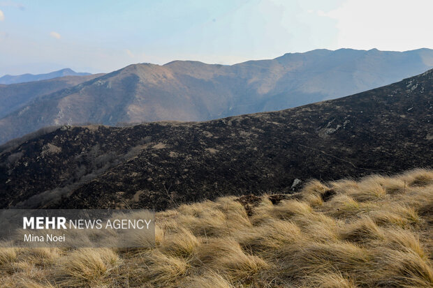 دیزمار پس از آتش