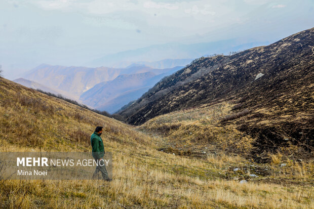 دیزمار پس از آتش