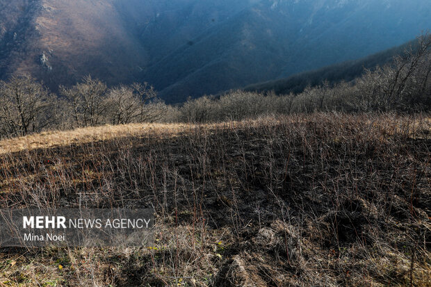 دیزمار پس از آتش