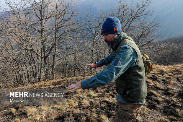 دیزمار پس از آتش