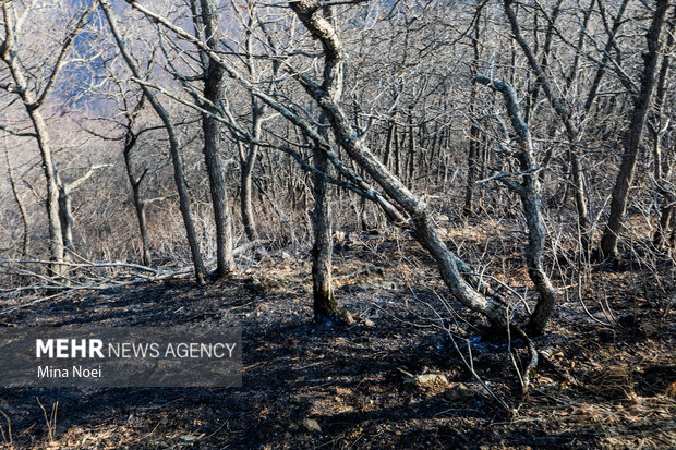 دیزمار پس از آتش