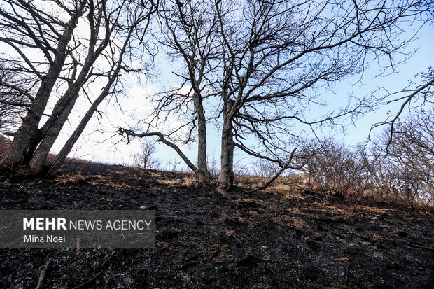 دیزمار پس از آتش