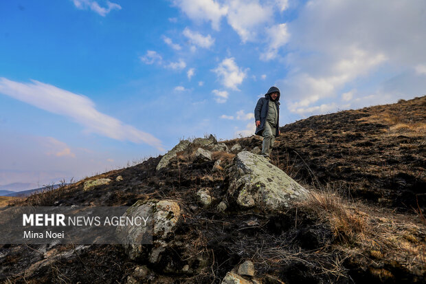 دیزمار پس از آتش