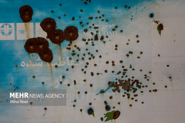 دیزمار پس از آتش