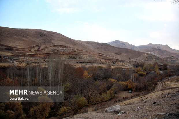 جلوه‌های برگریزان پاییزی در کرمانشاه