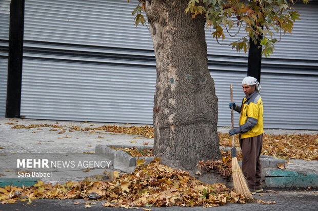جلوه‌های برگریزان پاییزی در کرمانشاه