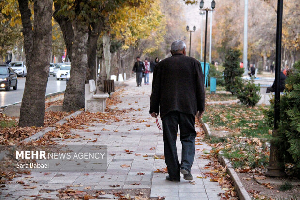 جلوه‌های برگریزان پاییزی در کرمانشاه