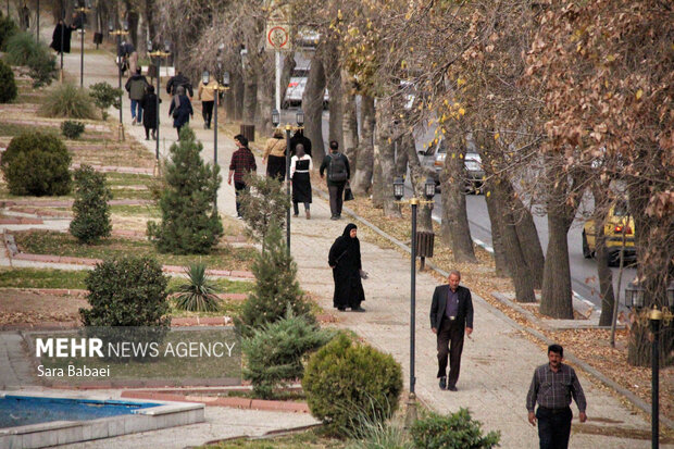 جلوه‌های برگریزان پاییزی در کرمانشاه