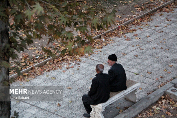 جلوه‌های برگریزان پاییزی در کرمانشاه