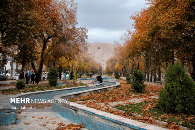 جلوه‌های برگریزان پاییزی در کرمانشاه
