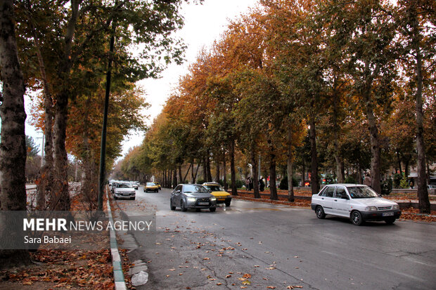 جلوه‌های برگریزان پاییزی در کرمانشاه