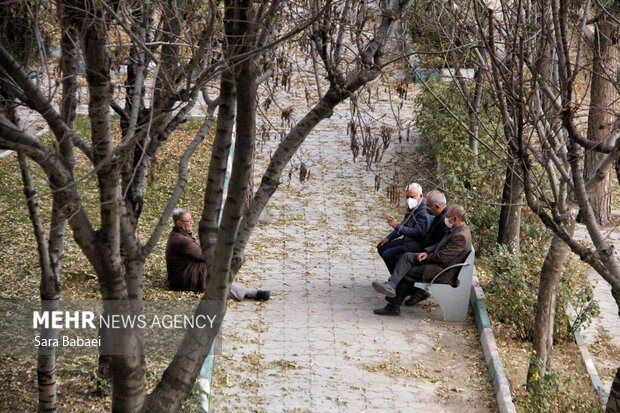 جلوه‌های برگریزان پاییزی در کرمانشاه