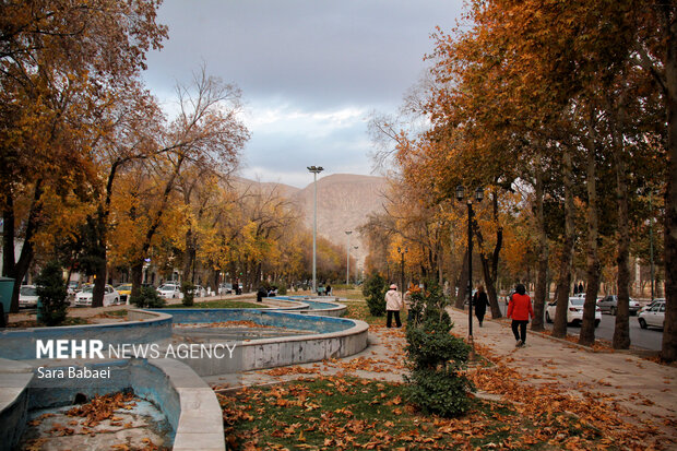 جلوه‌های برگریزان پاییزی در کرمانشاه