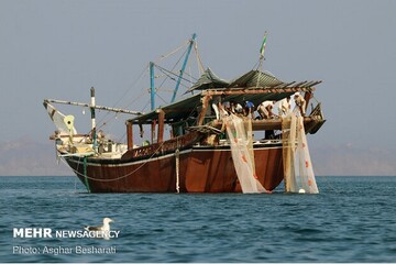 اینفوگرافیک؛ ظرفیت های صیادی سیستان و بلوچستان