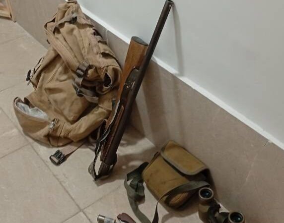 کشف لاشه کل وحشی در منطقه حفاظت‌شده شاهو و کوسالان