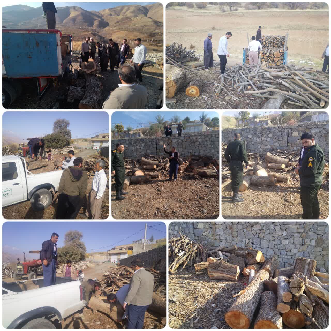 کشف بیش از یک تن چوب قاچاق در سروآباد