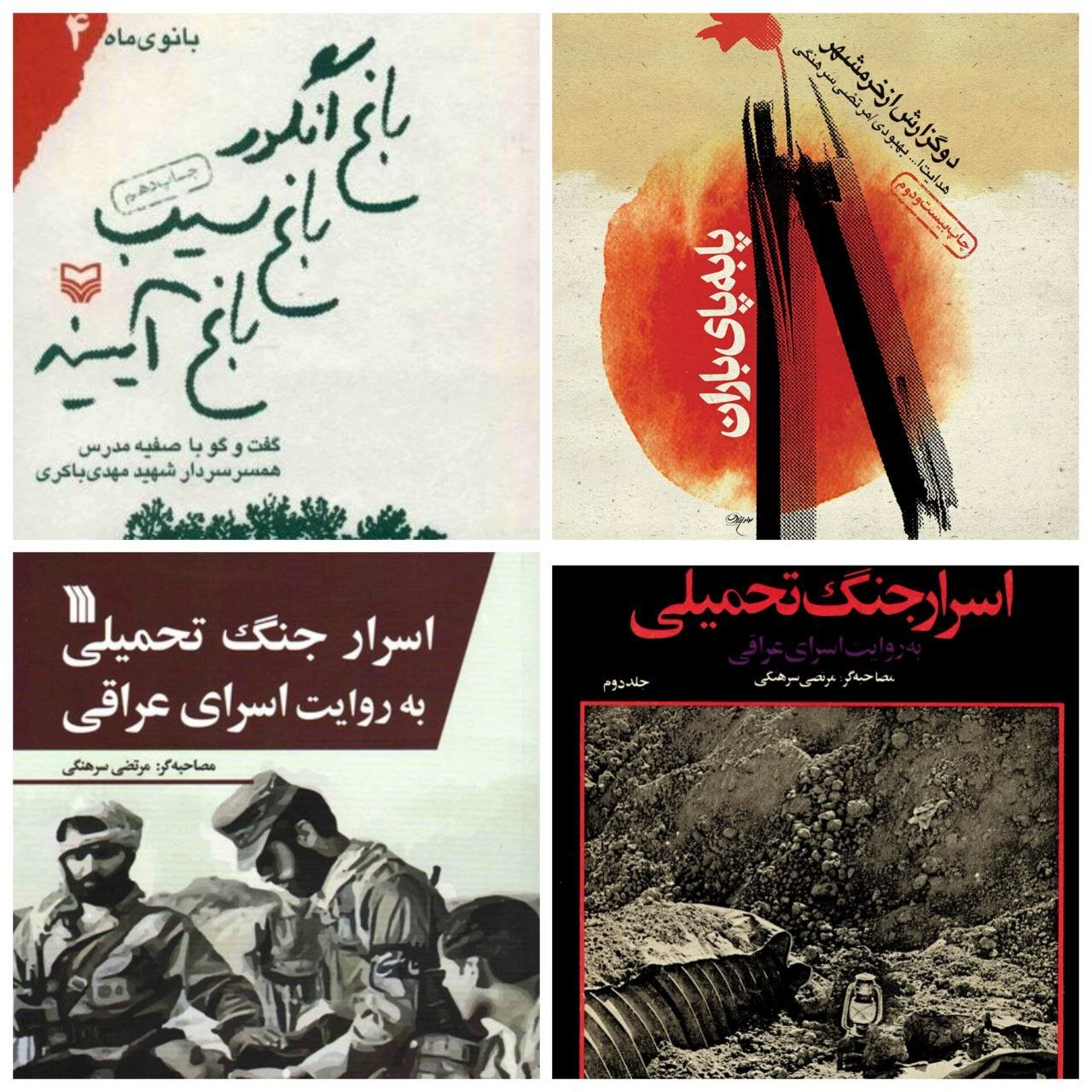 پیشگام ثبت صدای زنان در ادبیات جنگ/نامی که رهبر انقلاب بر آن تاکید دار