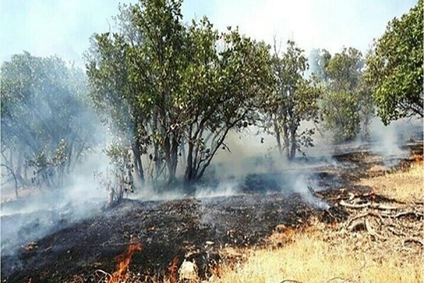 مرزبانی: وقوع حریق در جنگل های رودبار؛ همه پای کار هستند مرزبانی: وقوع حریق در جنگل های رودبار؛ همه پای کار هستند