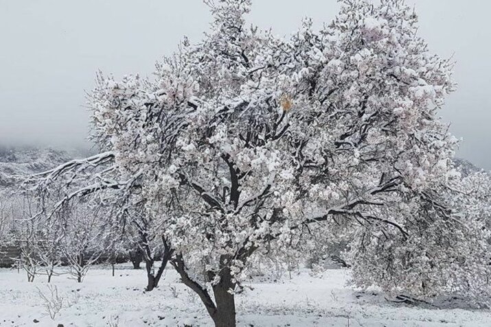 نخستین بارش پاییزی یزد در طزرجان ثبت شد