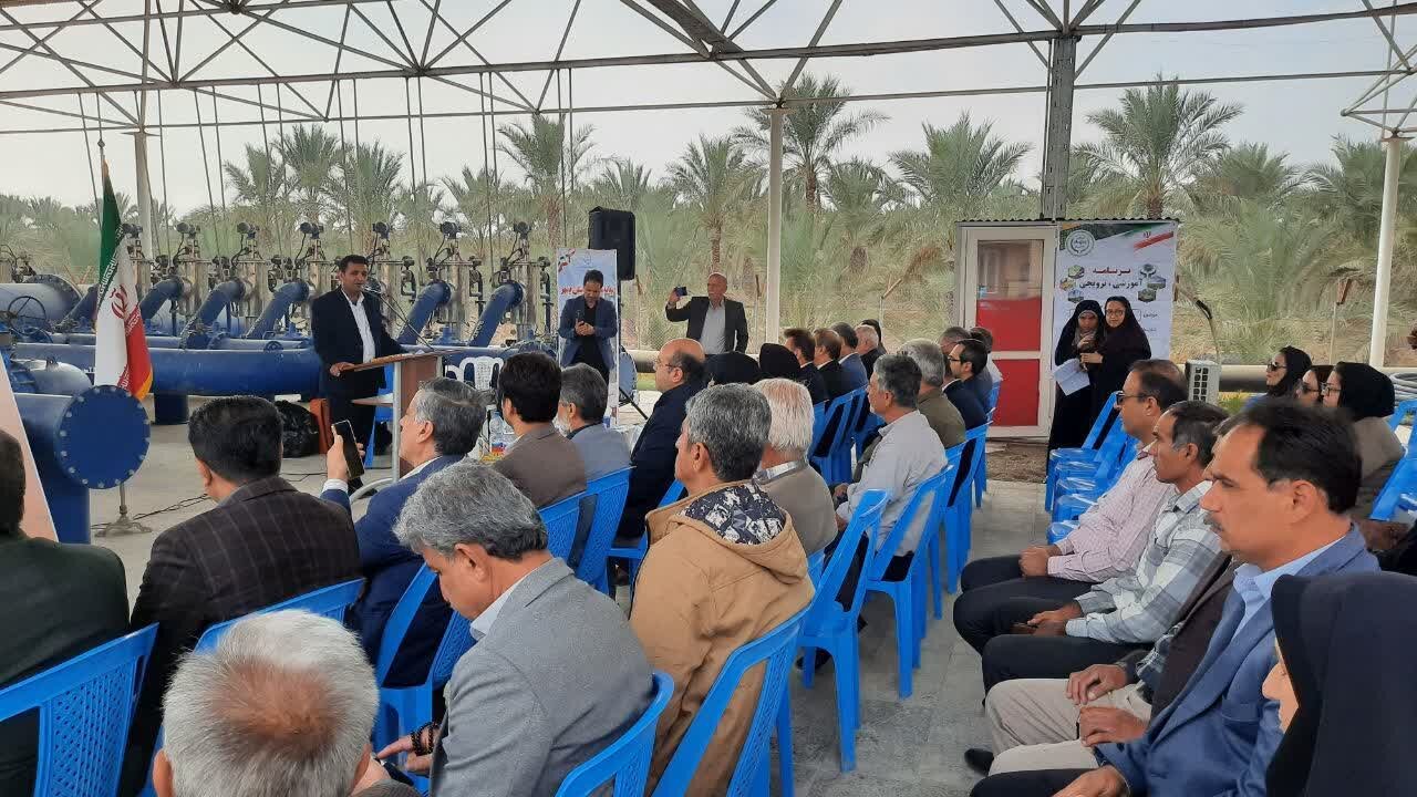 مدیر آب و خاک جهاد کشاورزی بوشهر: شیوه آبیاری نخیلات باید اصلاح شود