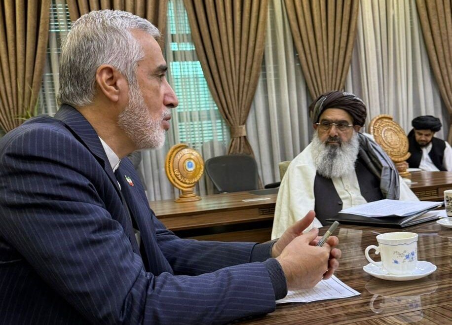 دارو،افغانستان،غذا،تجهيزات،پزشكي،ايجاد،صادرات،سفر،همكاري،اير ...