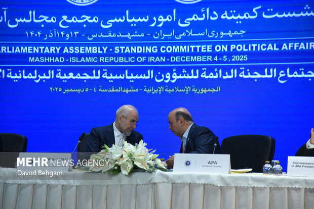 نشست کمیته دایمی امور سیاسی مجمع مجالس اسیا