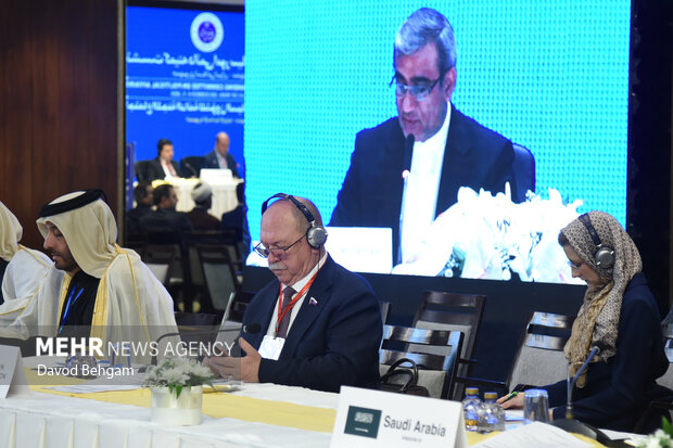 نشست کمیته دایمی امور سیاسی مجمع مجالس اسیا