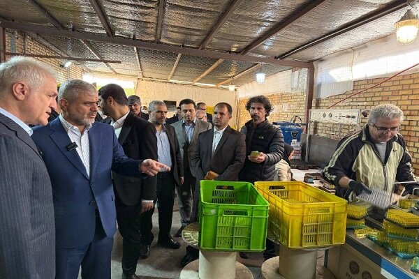 شهرك،صنعتي،فاضلاب،دادگستري،استان،تهران،چاه،آب،پروژه،بازديد،ر ...