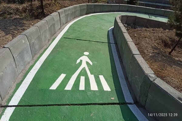 بانوان،مسير،منطقه،شهري،اجراي،موسوي،ارتقاي،پروژه،مديريت