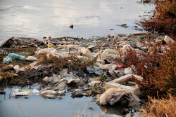 قره‌سو؛ قربانی سرگردان در هزارتوی مسئولیت ناپذیری!