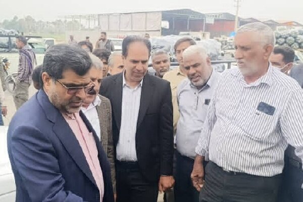 محسنی: کیفیت پایین بسته بندی محصولات کشاورزی موجب افت قیمت میشود محسنی: کیفیت پایین بسته بندی محصولات کشاورزی موجب افت قیمت میشود