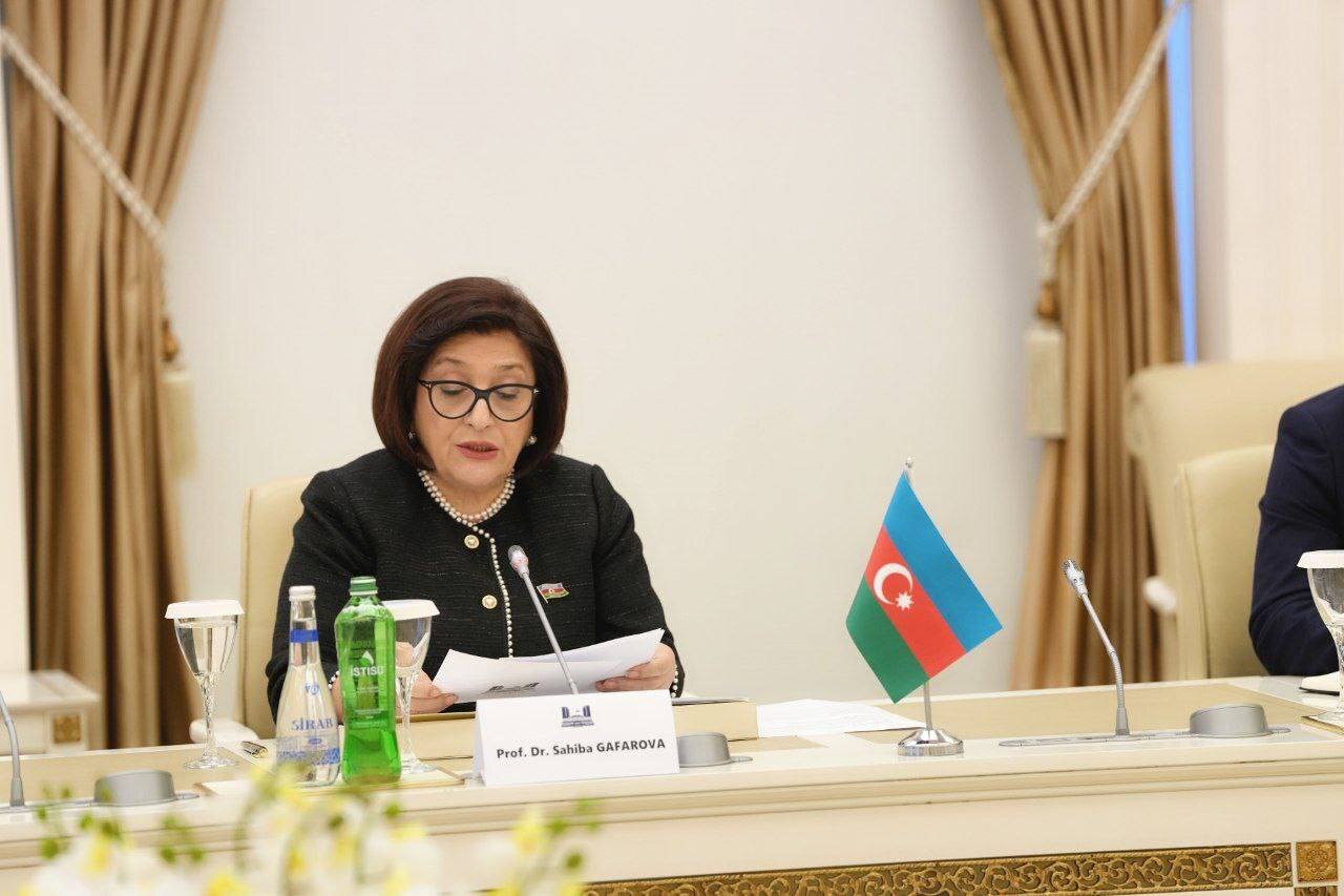 وزير الخارجية الايراني يلتقي رئيسة البرلمان الاذربيجاني