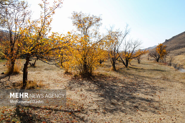 طبیعت پاییری مسیر نمین - عنبران