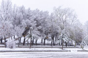 بارش برف در محورهای کوهستانی چهارمحال و بختیاری آغاز شد