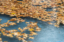 شهردار اصفهان: روان‌آب‌های بارش اخیر کامل مدیریت شد