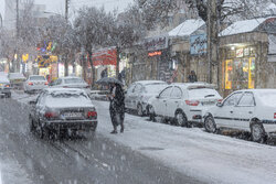 آغاز بارش برف در «سپیدان» فارس