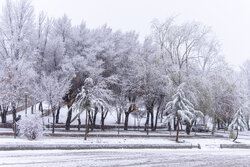 بارش اولین برف پاییزی در منطقه پول کجور
