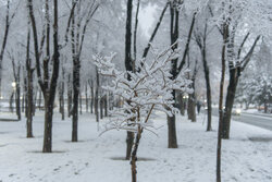 پیش‌بینی بارش‌های رگباری و برف نیمه‌سنگین در کهگیلویه و بویراحمد