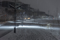 بارش برف در شیراز آغاز شد