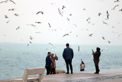 بارش باران پاییزی در بوشهر