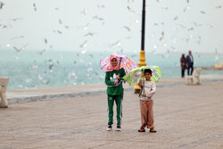 جزئیات فعالیت سامانه بارشی اخیر در استان بوشهر