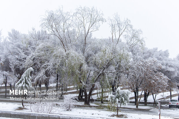 کاهش دما و افزایش مصرف گاز در ایلام؛ فشار بر شبکه بیشتر شد