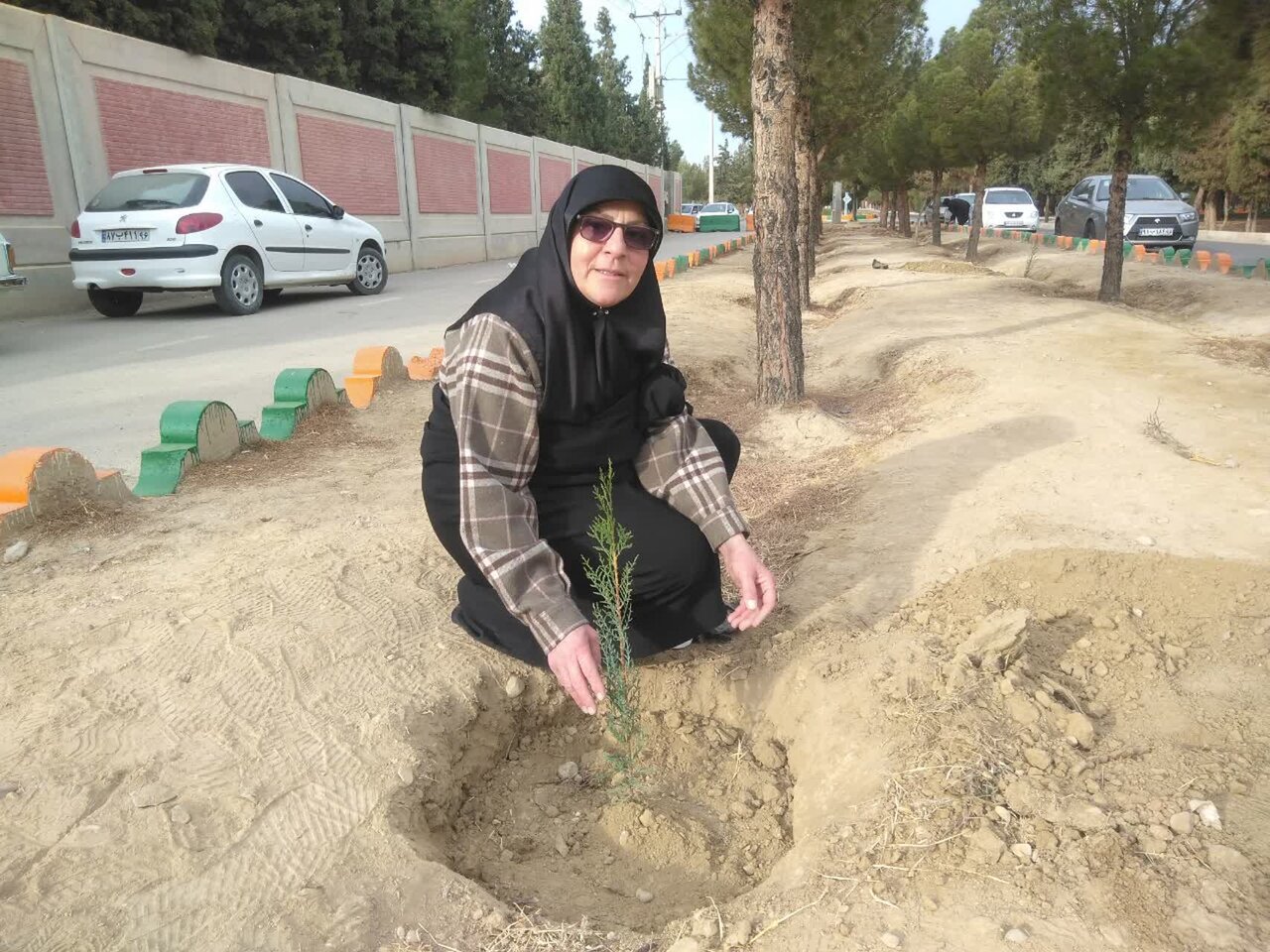 ترویج فرهنگ درختکاری با پویش «نهالکاری به مناسبت روز مادر» در سمنان ترویج فرهنگ درختکاری با پویش «نهالکاری به مناسبت روز مادر» در سمنان