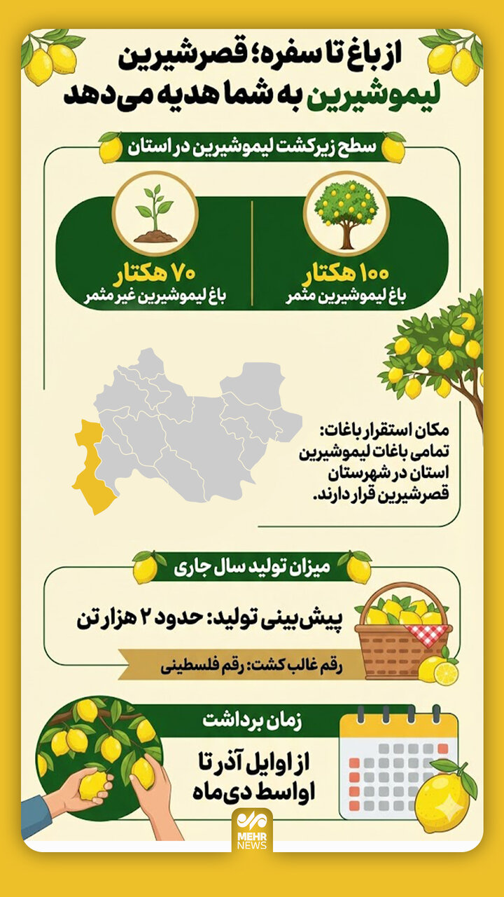 اینفوگرافیک؛ برداشت لیموشیرین در قصرشیرین