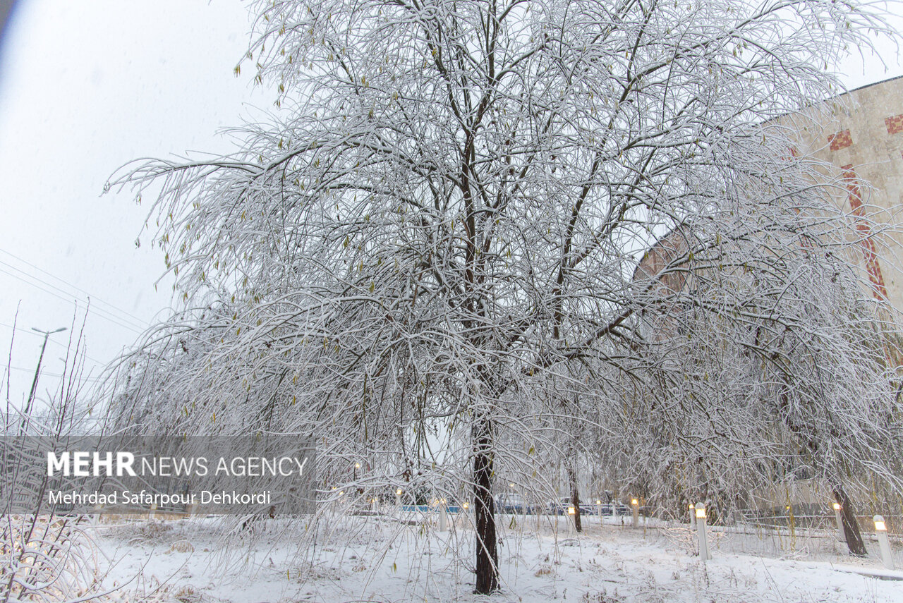 دیلمان سفیدپوش شد دیلمان سفیدپوش شد